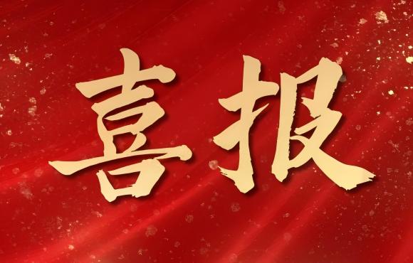 TOP 12！中節(jié)能?chē)?guó)禎榮登中國(guó)品牌價(jià)值 “其他服務(wù)類(lèi)”